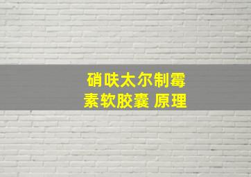 硝呋太尔制霉素软胶囊 原理